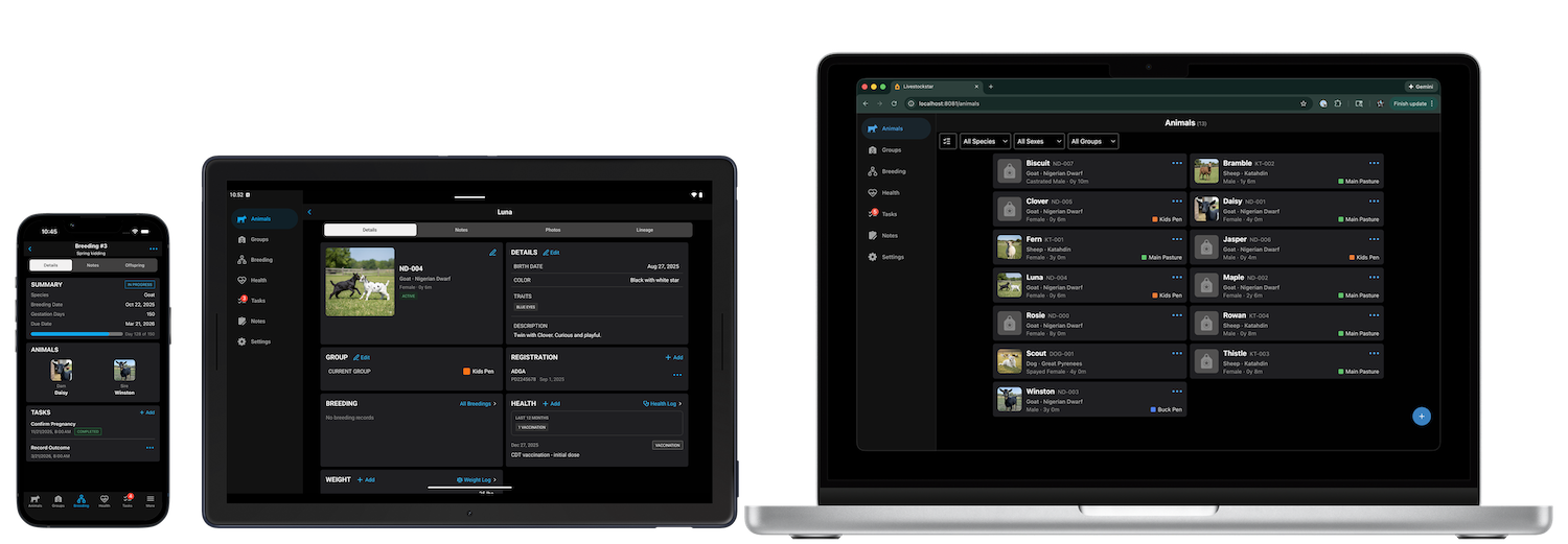Livestockstar running on phone, tablet, and web