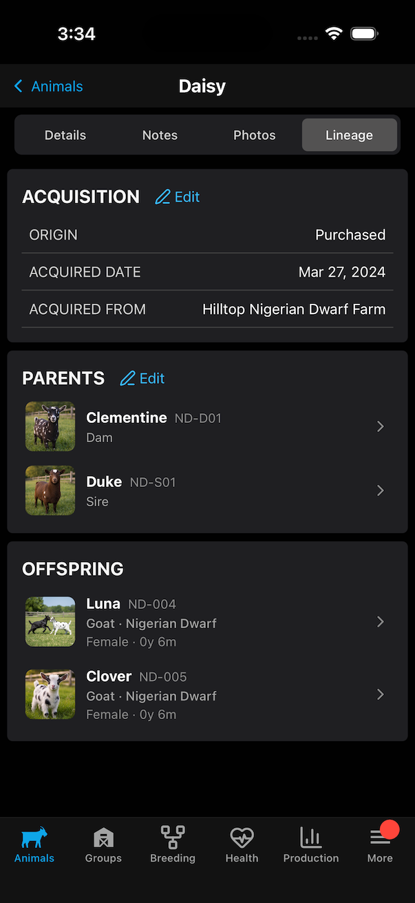 Lineage view for parent and offspring records