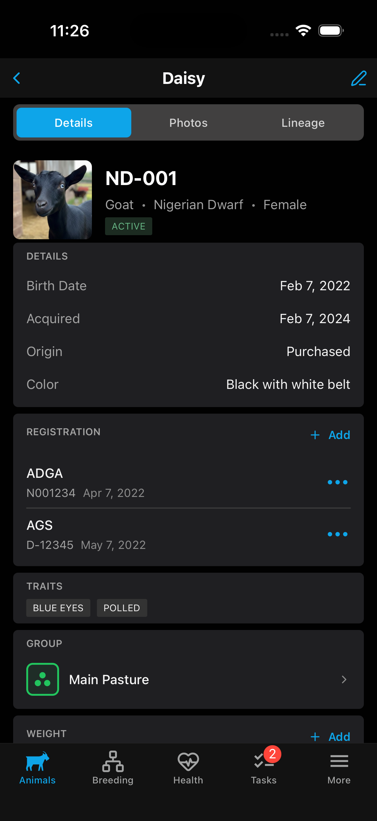 Detailed animal profile with breed, traits, and health info